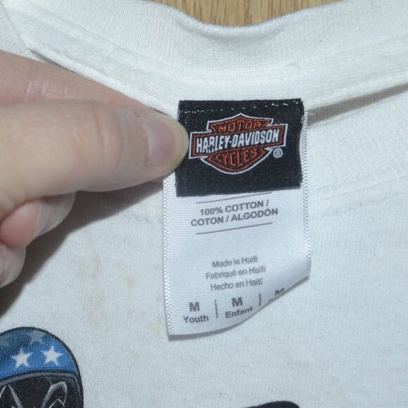 Harley Davidson Looney Toons Grand Canyon Arizona Graphic Draffy Duck T-shirt - Picture 2 of 16